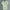 Men's Casual Short Sleeve Shirts Leisure Street Wear Lapel Button-down