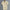 Men's Casual Short Sleeve Shirts Leisure Street Wear Lapel Button-down