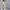 Men's casual pants 2025 New Spring and autumn casual straight business outdoor workwear thick cotton-like long pants