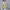 Men's casual pants 2025 New Spring and autumn casual straight business outdoor workwear thick cotton-like long pants