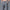 Men's Thin Slim Straight Casual Pants Business Leisure Classic Spring Summer Trousers Brand Clothing Elasticity Male Pants