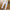 men's casual shirts (Shirt + trousers) 2025 summer men shirt Man Cotton and linen shirts Short sleeve men A set of clothes M-5XL