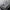 Pure Wool Sweater Men's POLO Neck Three-Button Loose Business Casual Medium Thick Warm Long-Sleeved Cashmere Large Knitted Shirt