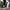 2023 New Comfortable High shoes man and womens classic sneakers Durable White Flat Canvas Shoes size 35-44