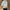 Shirts for Men Silk Plain Man Shirt Green Half Sleeve Cool Cotton Summer Xxl Slim Fit Hipster Original Asia I Fashion 2024 Sale