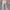 Men's Thin Slim Straight Casual Pants Business Leisure Classic Spring Summer Trousers Brand Clothing Elasticity Male Pants
