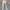 Men's Thin Slim Straight Casual Pants Business Leisure Classic Spring Summer Trousers Brand Clothing Elasticity Male Pants
