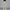 Men's casual pants 2025 New Spring and autumn casual straight business