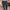 Men's business casual trousers, daily formal work pants, 2024 new high