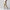 New Men's Casual Work Pants Business Cotton Trousers Spring Autumn Sol