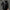 Top Grade Designer New Brand Men Parka Jacket Casual Fashion Hooded Puffer Coat Cropped Windbreaker Quilted Mens Clothes