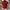 Summer Fashion Casual Short-sleeved Polo Shirt for Men Polo Simple Breathable Comfortable Top for Men Mens T Shirts